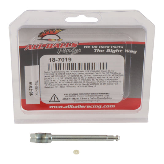 All Balls Racing Brake Pin Kit (18-7019)
