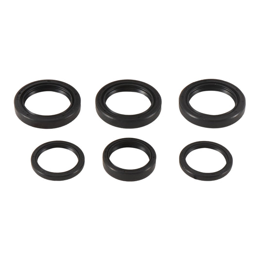 Differential Seal Kit 25-2065-5