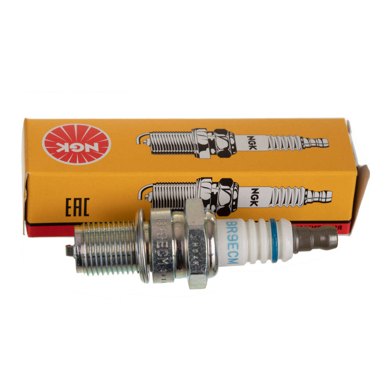 Load image into Gallery viewer, NGK Spark Plug - BR9ECM (3252)
