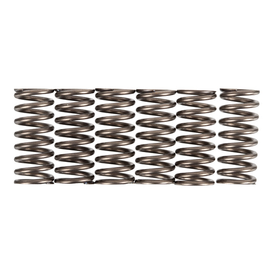 Premier Clutch Springs - Heavy Duty