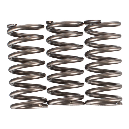 Premier Clutch Springs - Heavy Duty