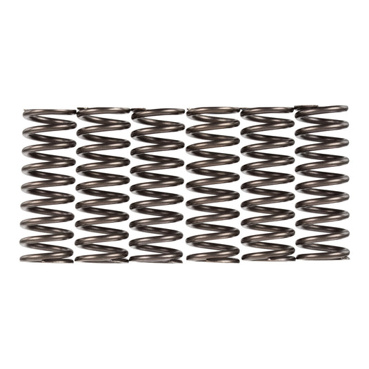 Premier Clutch Springs - Heavy Duty