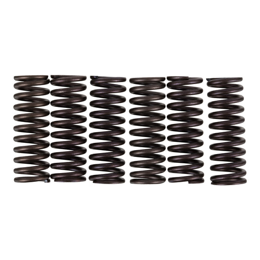 Premier Clutch Springs - Heavy Duty