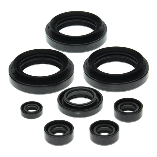 OIL SEAL KIT 822152