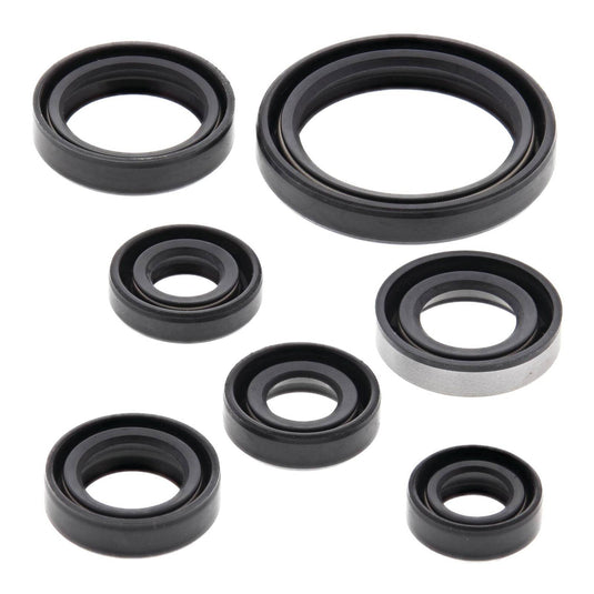 Oil Seal Kit 822193