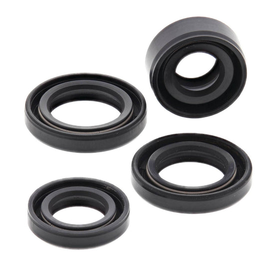 Oil Seal Kit 822212