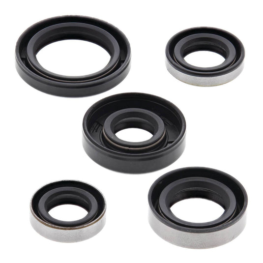 Oil Seal Kit 822216