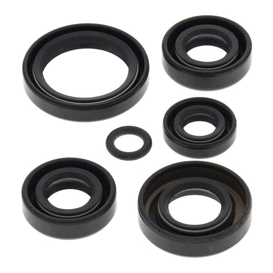 Oil Seal Kit 822242