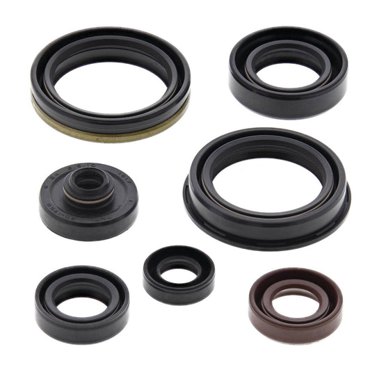 Oil Seal Kit 822329