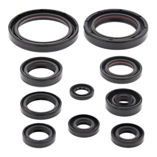 Oil Seal Kit 822332